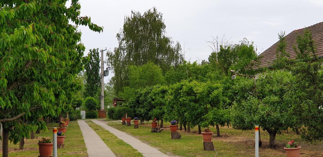 Willa Dobo Tanya Roszke Zewnętrze zdjęcie